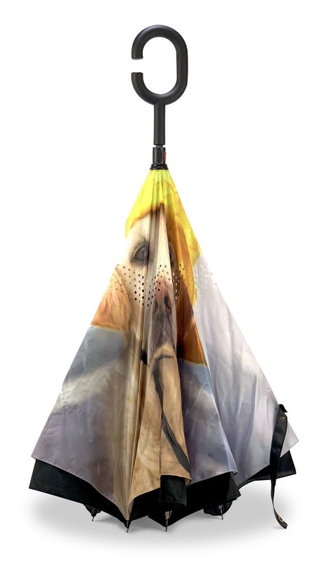 Reversible Umbrellas-Rain Dog