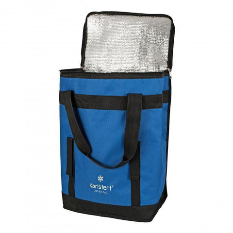 Cooler Freezer Bag