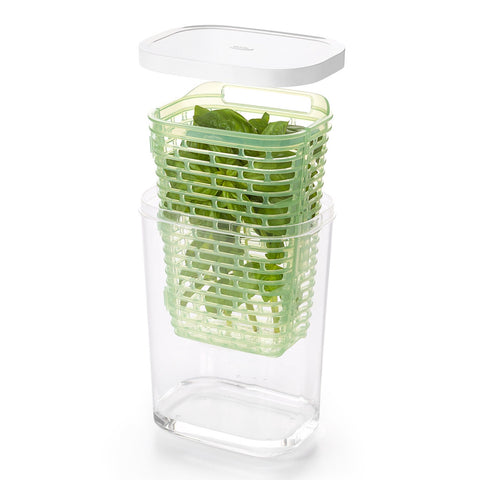 Greensaver Herb Keeper - Large