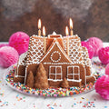 Gingerbread House Bundt Pan