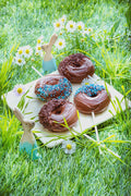 Snack Collection Accessory Plates - Donuts
