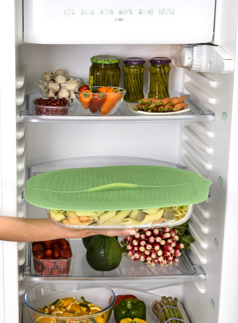 Banana Leaf Rectangular Lid