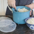 Ocean Microwave Rice Steamer
