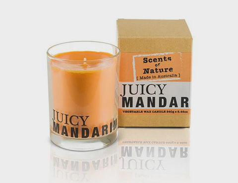 Soy Candle 240G