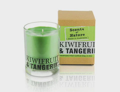 Soy Candle 240G