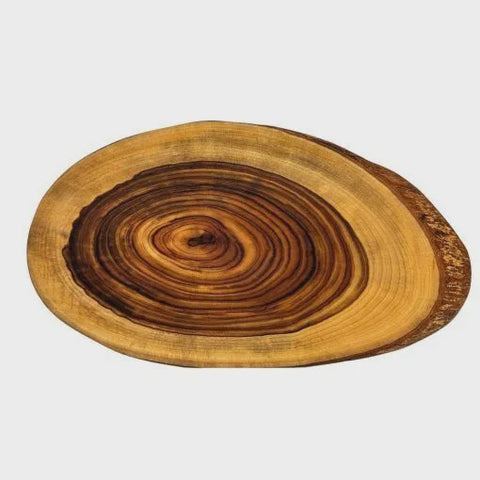 Camphor Laurel Orana Cross-Cut