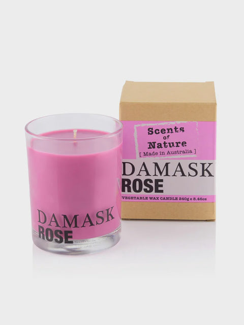 Soy Candle 240G