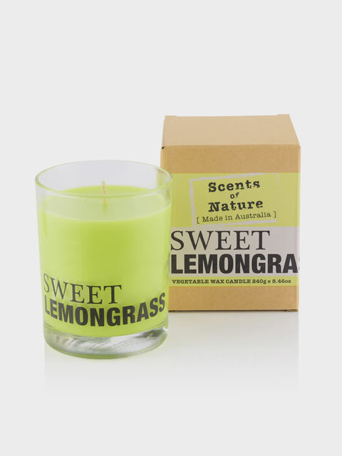 Soy Candle 240G