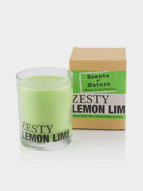 Soy Candle 240G