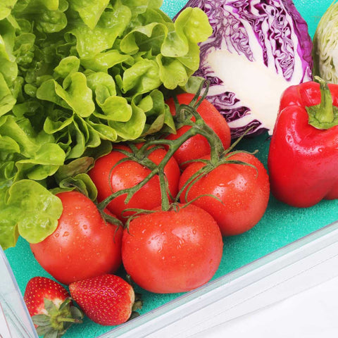 Stay Fresh Fridge Mat Antibacterial